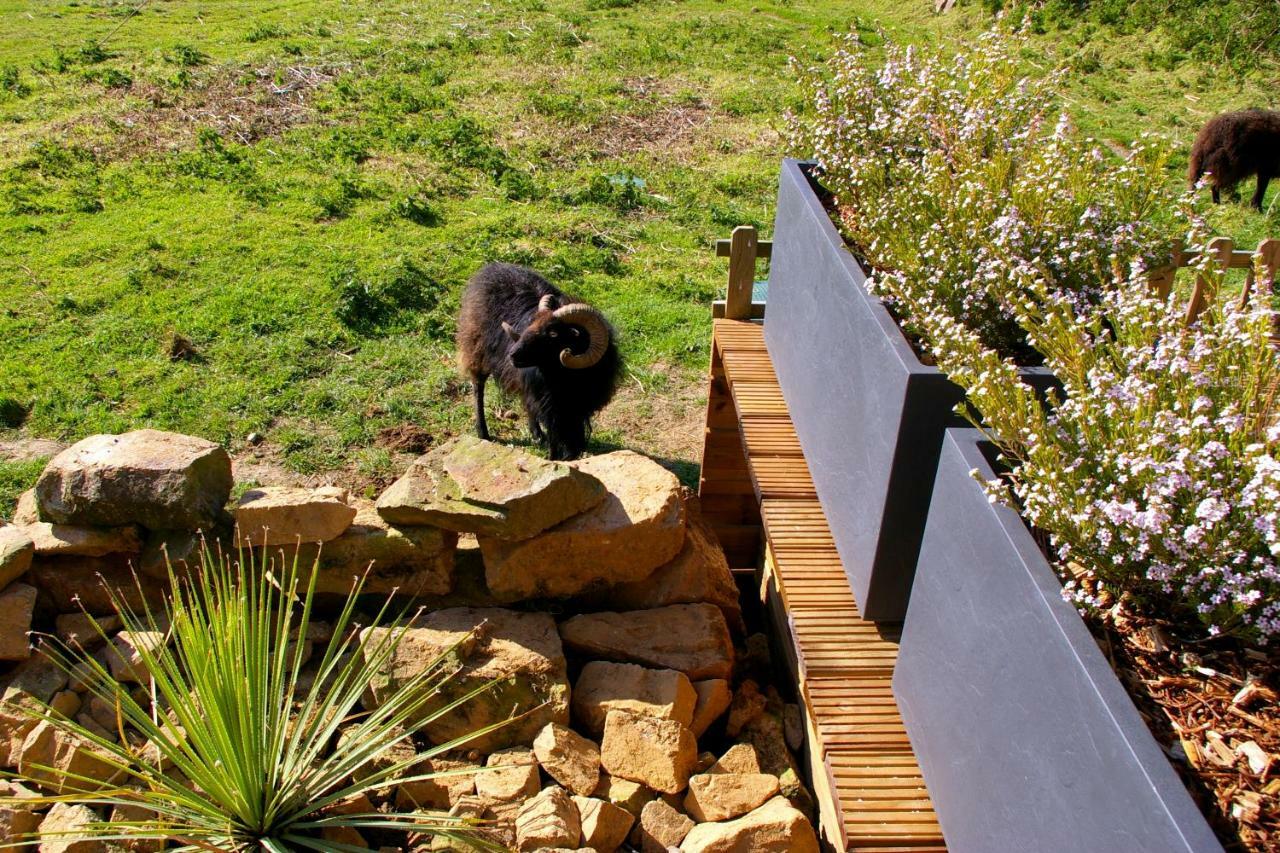 Le Colombier Bretagne Bed & Breakfast Louannec ภายนอก รูปภาพ